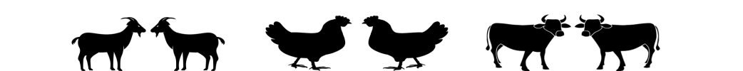 gallery/banner